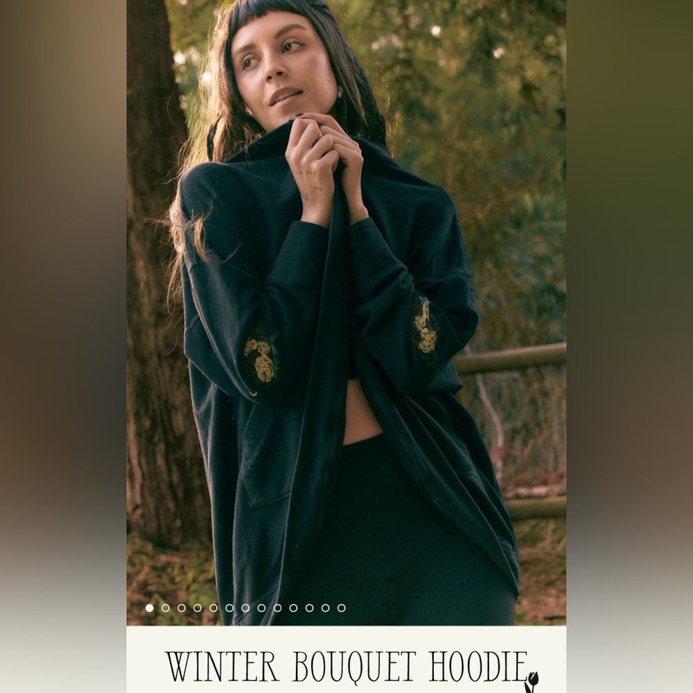 IN SEARCH OF PP HOODIE